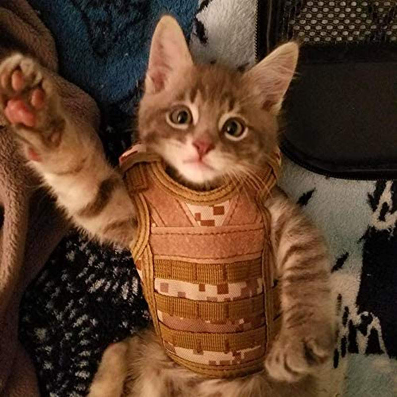 Ferret Clothes Small Animals Harness Military Style Adjustable Shoulder Straps Soft Mesh Comfort Durable Nylon Padded Vest Ferret Guinea Pig Hamster Bunny Kitten Puppy Small Pet Clothes Accessory Desert - PawsPlanet Australia