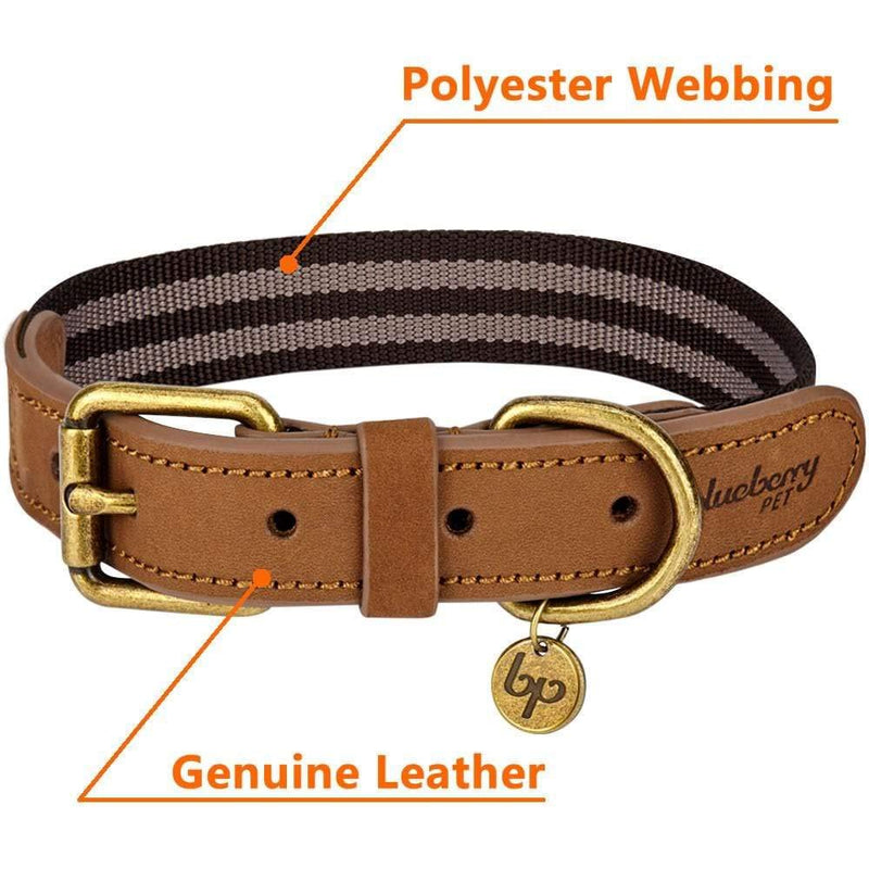 Blueberry Pet Soft & Comfy Genuine Full Grain Leather & Polyester Combo Adjustable Dog Collar - Classic Staple Striped in Chocolate and Taupe, Medium, Neck 15"-18" 1" Wide * (15"-18") Neck (Pack of 1) Leather & Polyester - Chocolate & Taupe - PawsPlanet Australia