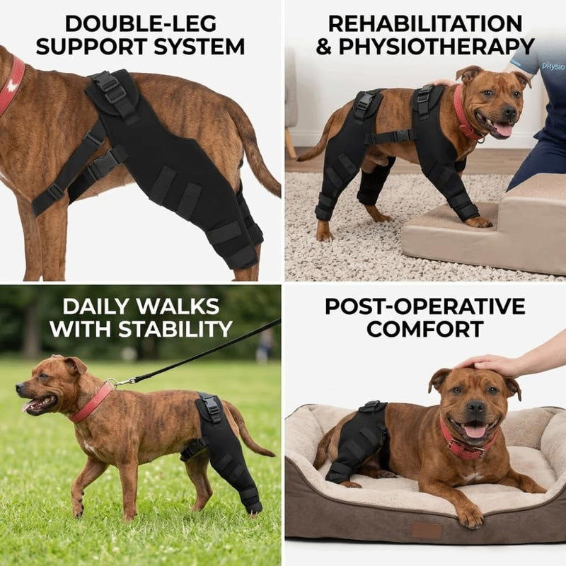 Dog Knee Brace for Hind Leg Support Breathable Joint Protector, Post-Injury Recovery & Wound Cover, Water-Proof for Small to Large Dogs(L) L
