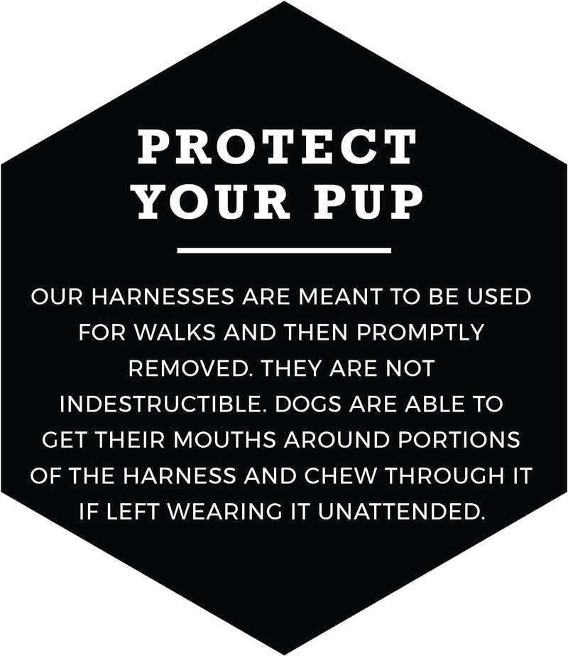 Wolfgang Premium No-Pull Dog Harness for Small Medium Large Dogs, Made in USA,FlutterColor Print, XL (1 Inch x 26-38 Inch) XL (1 Inch x 26-38 Inch) FlutterColor Print - PawsPlanet Australia