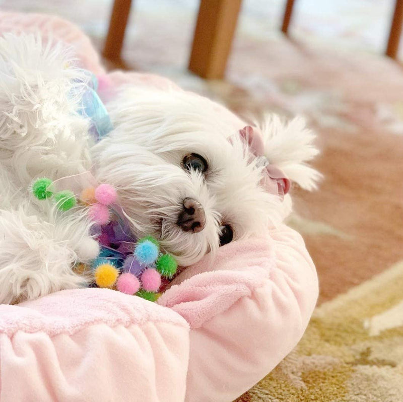 TONBO Soft Plush Small Cute and Cozy Pastel Pink Flower Dog Cat Bed, Washer and Dryer Friendly, (Pastel Pink) - PawsPlanet Australia