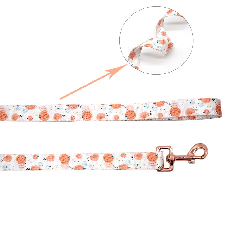 Elegant little tail Dog Collar with Leash, Pumpkin Print Pet Collar Leash Adjustable Collar for Small Medium Large Dogs Soft Puppy Collars with Quick Release Buckle Girl Boy Dog Collars Medium (Pack of 1) - PawsPlanet Australia