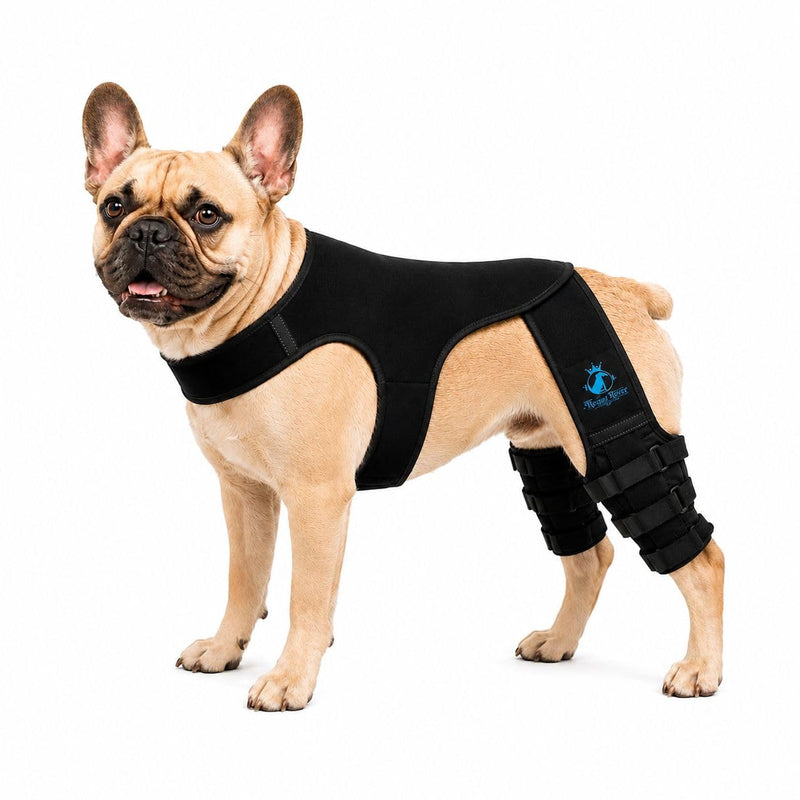 Dog Rear Knee Brace for Small & Medium Breeds, Adjustable Hind Leg Support for ACL/CCL Injury Recovery, Joint Stability, Ligament Protection & Injury Prevention (S) Small (S)