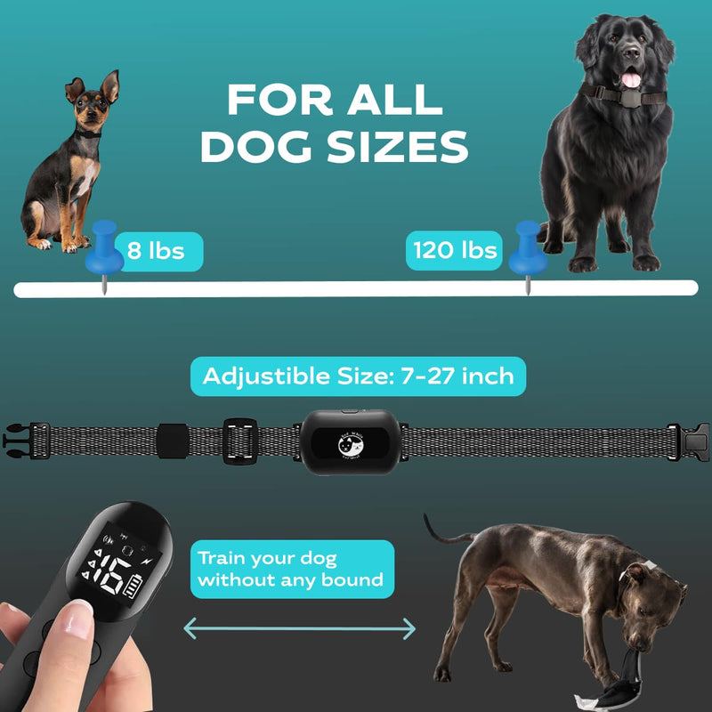 Dog Shock Collar with Remote, Rechargeable Training Shock Collar for Small Medium Large Dogs 1000Ft Control Range, Waterproof Electric Bark Collar with Beep, Vibration, Safe Shock Black (Black) - PawsPlanet Australia