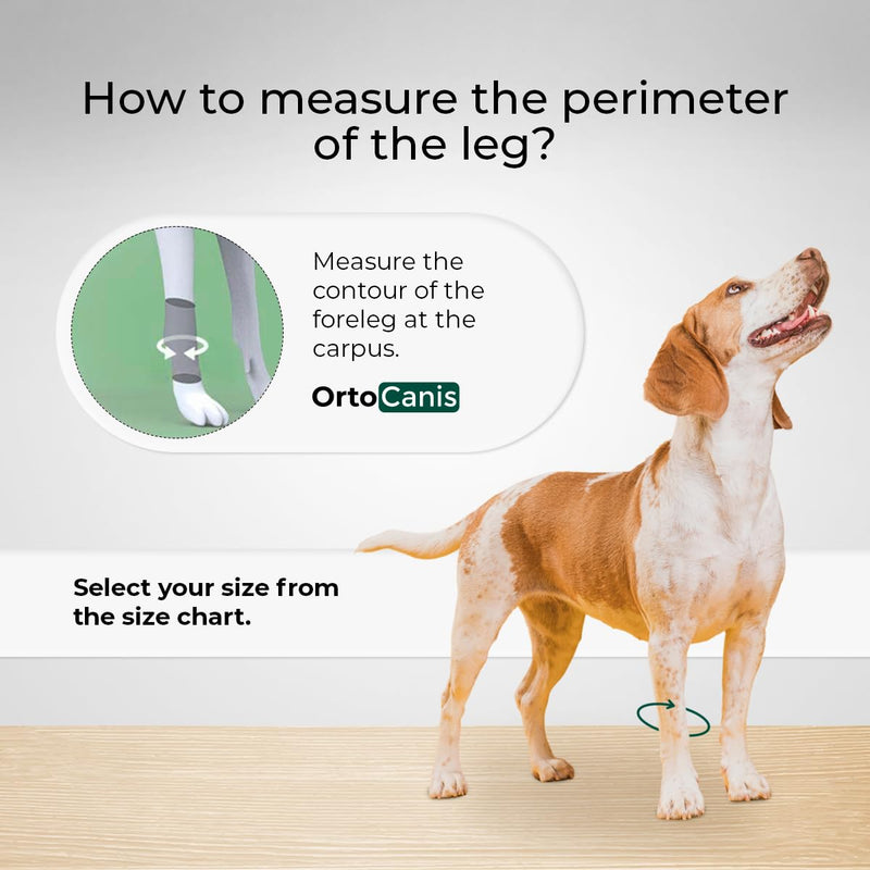 Ortocanis - Dog Carpal Support Brace - Carpal Instability or Osteoarthritis - Stabilizes and Reduces Pain - with Two Immobilization Splints - Made of Neoprene - Size M 8-10 cm Medium