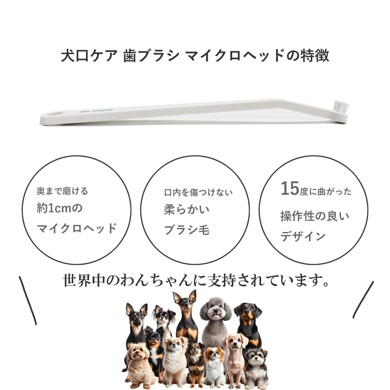 Toothbrush for toy breed dogs easy to use made in Japan Kenko care by Mind Up (Micro Head) White 1 Count (Pack of 1) - PawsPlanet Australia