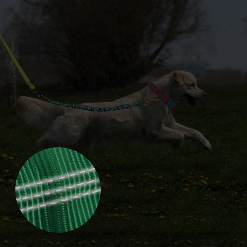 Wolfone Shock Absorber Reflective Threads Bungee Dog Leash for Running?Trainning?Recall 2-Pack Blue-Green Gradient 35-70cm - PawsPlanet Australia