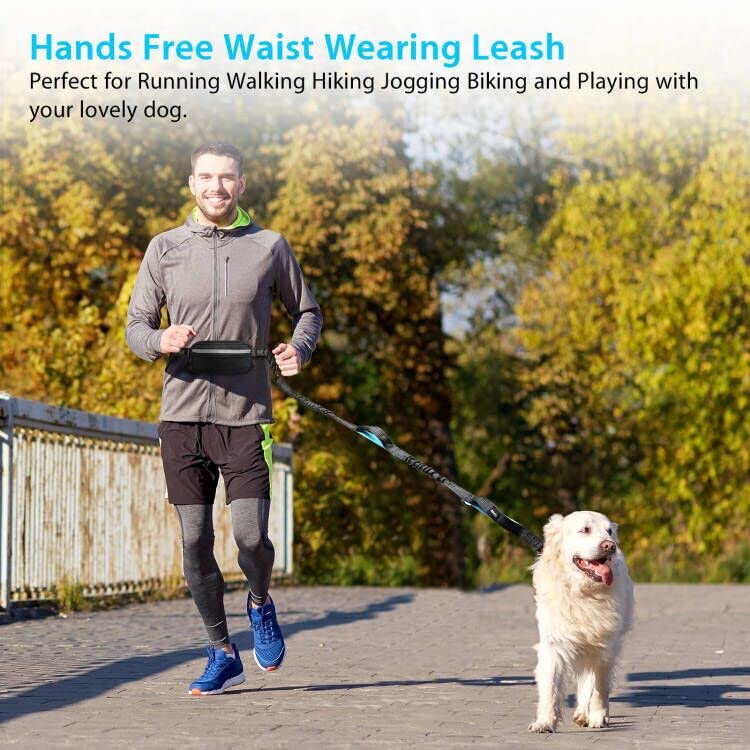 Hands Free Dog Running Leash with Adjustable Waist Belt, Dual Handle Elastic Bungees Retractable Rope for Medium and Large Dogs, Reflective Stitches for Walking Hiking Biking With Pouch for 2 dogs