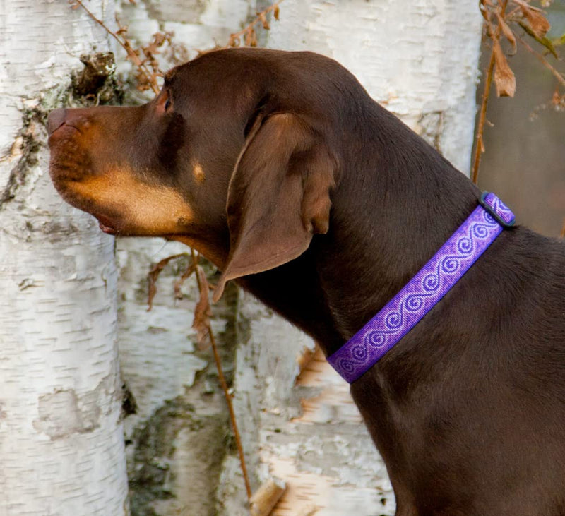LupinePet Originals 1" Jelly Roll 12-20" Adjustable Collar for Medium and Larger Dogs 1"Width; 12-20" Neck