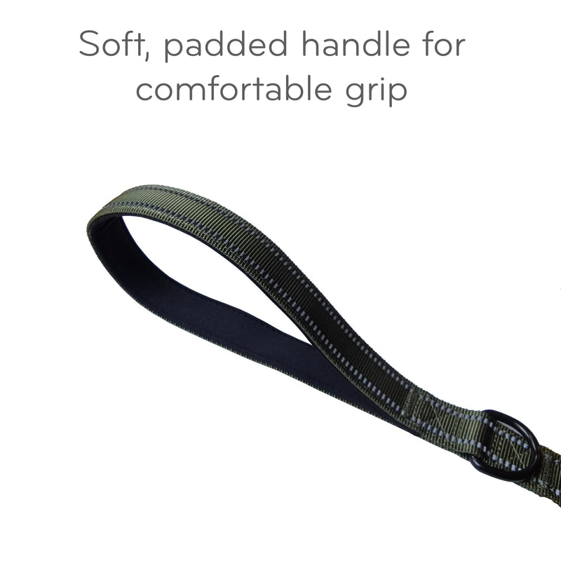 Barkridges® Premium Triple Handle Dog Lead Leash | Traffic Handle | Secured | Locking Clip | Padded Handle | Safety Reflective Strips | Comfortable for Small Medium Large Dogs (Black, 5 ft) Black - PawsPlanet Australia