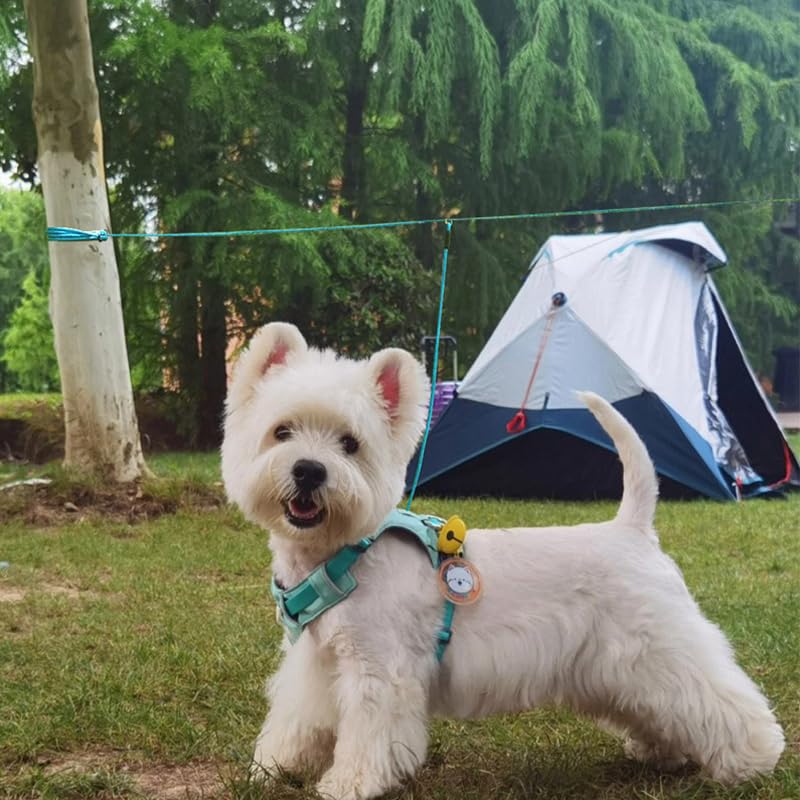BTINESFUL 12FT 20FT 30FT Reflective Dog Tie Out for 2 Dogs, No Tangle 1/3 Inch Nylon Rope Tether for Two Dogs, Dog Trolley Runner for Yard Outdoor Camping Blue 12 ft x 1/3" - PawsPlanet Australia