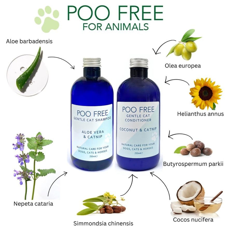 Catnip & Aloe Soothing Cat Shampoo – Gentle Purity & Playful Comfort – 99% Natural & pH Balanced – 250ml