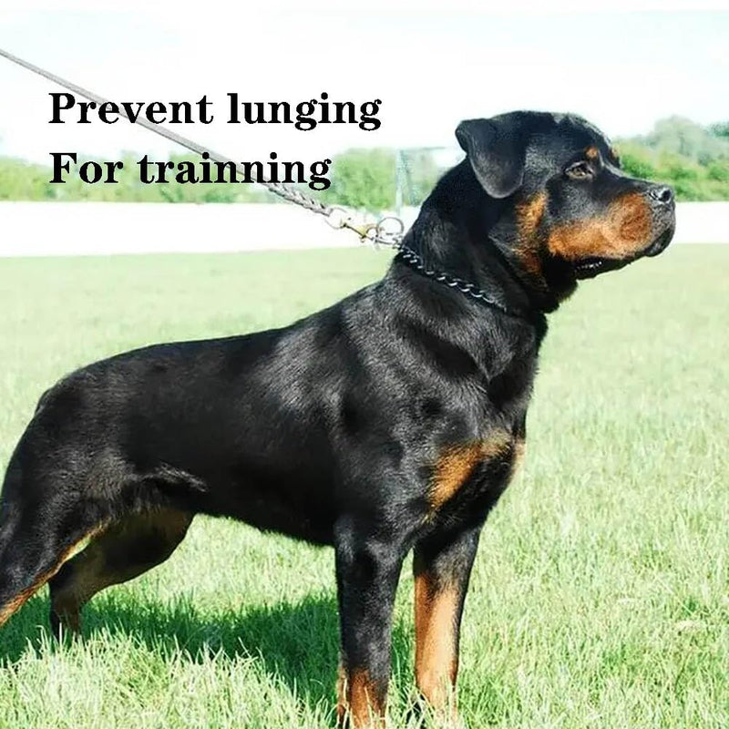 Chain Dog Choker Collar, Metal Slip Link Training Heavy Duty Choke Dog Collar Puppy Collars for XXS XS Small Medium Large Big XL Breed Dogs, 2xSilver XL Silver x2 XL(Neck Max 22inch)D4mm - PawsPlanet Australia