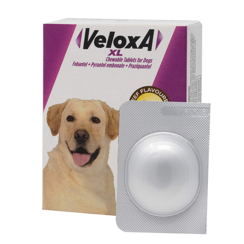 Veloxa XL Chewable Dog Wormer, 4 Tablets XL- 4 Tablets - PawsPlanet Australia