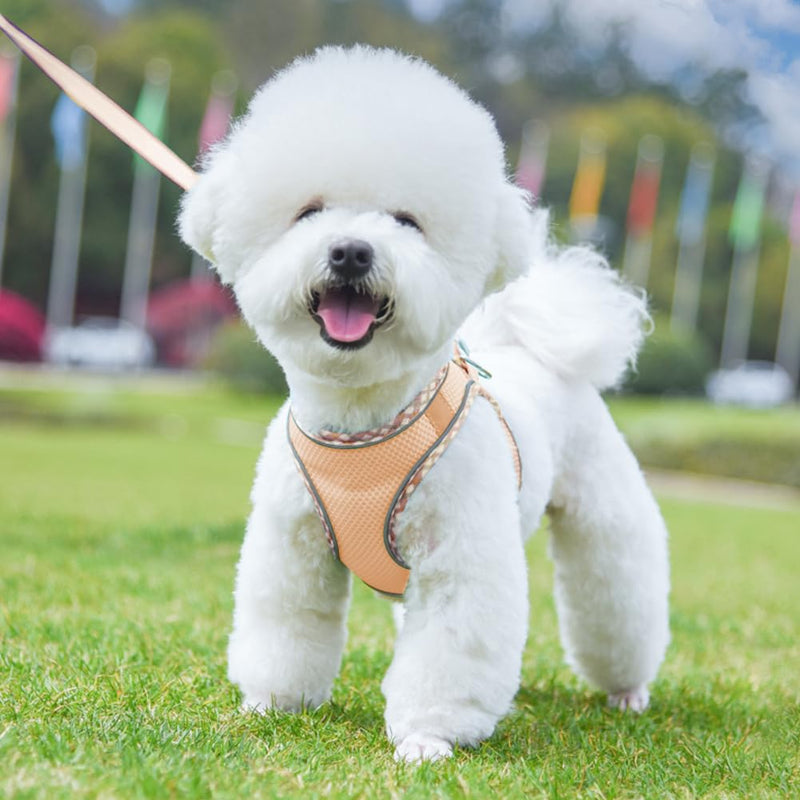 Dog Harness for Small Medium Dogs No Pull Adjustable Step in Puppy Harness and Leash Set,Reflective Breathable Mesh Pet Harnesses Soft Padded Vest for Dogs Easy to Put on (Pink, XS) Pink - PawsPlanet Australia