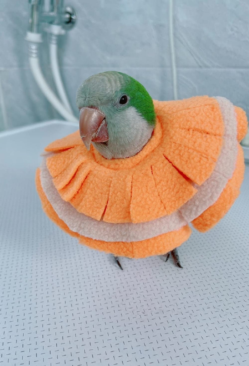 Adjustable Parrot Cone Collar, Safe and Practical Cotton Collar to Prevent Bites and Licking Wounds, to Help heal (5XL) 5XL - PawsPlanet Australia
