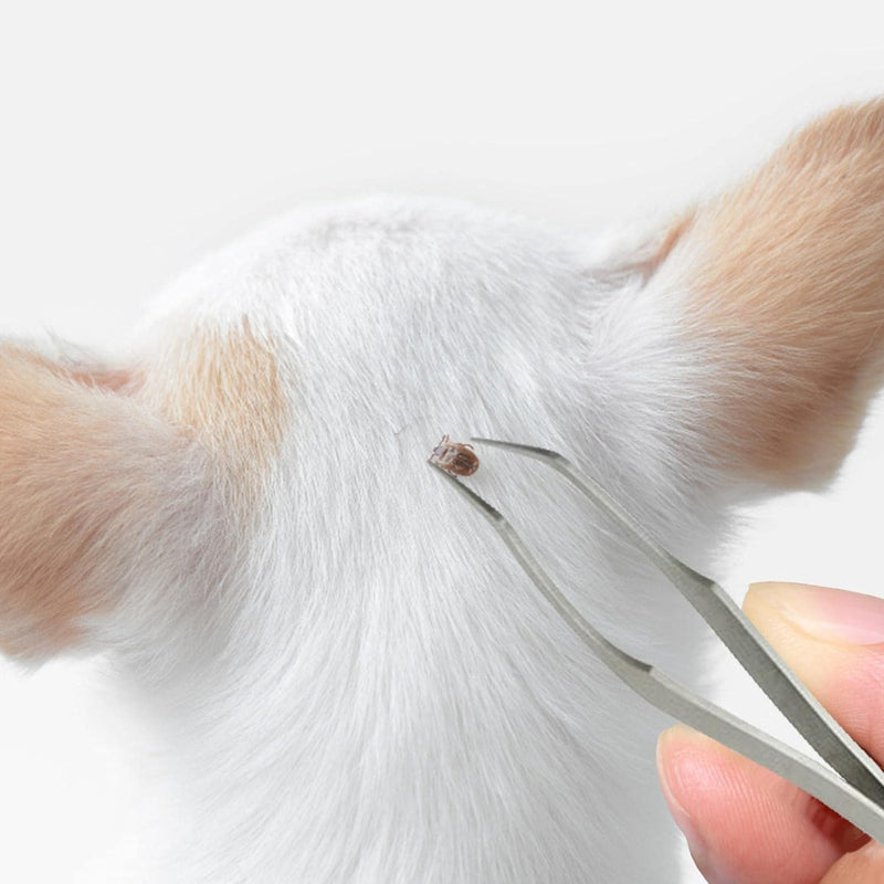 1Pc Silver 2 in 1 Tick Removal Tool for Pets,Stainless Steel Professional Tick Tweezers Ticks Remover for Dogs, Cats and Humans,Flea and Tick Control,Tick Remover Tools Flea and Tick Control - PawsPlanet Australia