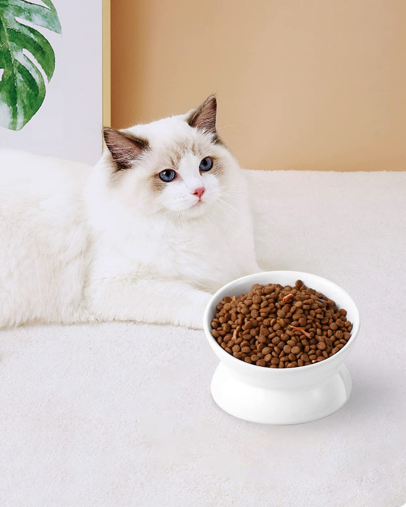 Elevated Cat Food Bowl, 5 Oz Ceramic Raised and Tilted Water Bowl, Anti Vomiting and Protect Pets' Spines Dishes for Small Dog, Fat Faced Cat, Kitten (White, 1 Pack) White - PawsPlanet Australia