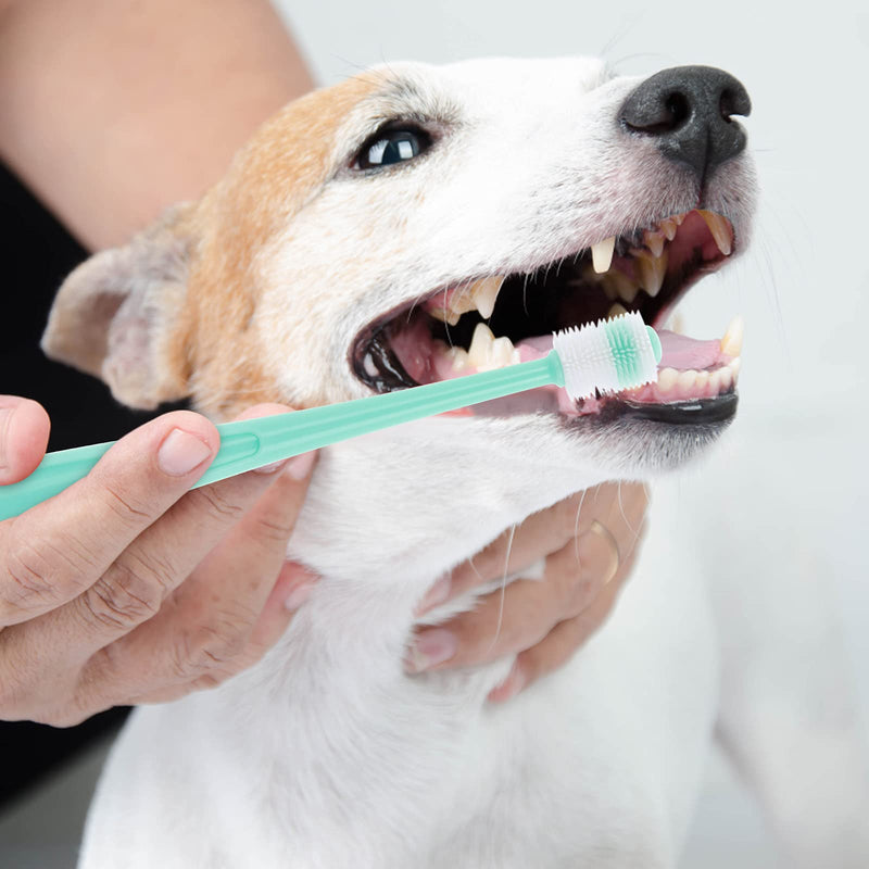 Molain 2 Pieces 360 Degree Dog Toothbrush, Soft Silicone Pet Toothbrushes with 2 Storage Boxes, Cat Toothbrush, Puppy Toothbrush, Dog Teeth Cleaning Set 1 stück (2er Pack)