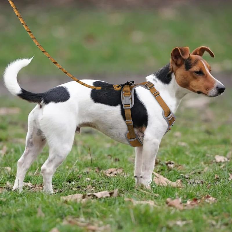 Adjustable Dog Harness - No Pull, Reflective, Soft Padded for Small, Medium, Large Dogs - Includes Leash and Collar Beige L - PawsPlanet Australia