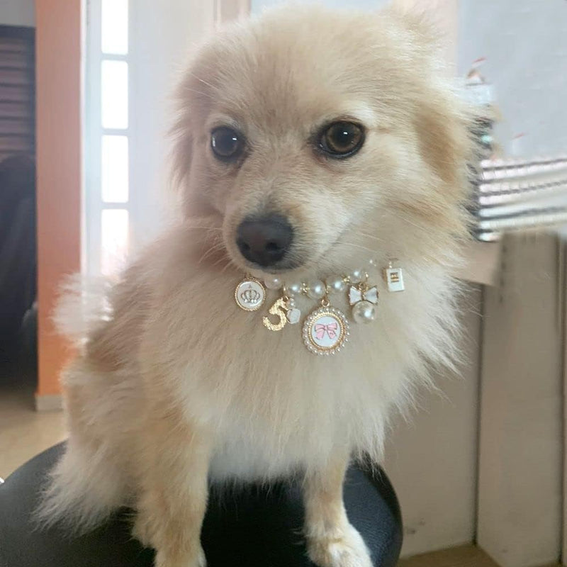 1Pc Pink Medium Dogs Pearl Collars Pet Pearl Dog Princess Bow Necklace Cute Collar Puppy Accessories Cat Jewelry Pearls Neck Strap for Dog Cat (M) Collars, Basic Dog Collars, Harnesses and Leashes - PawsPlanet Australia