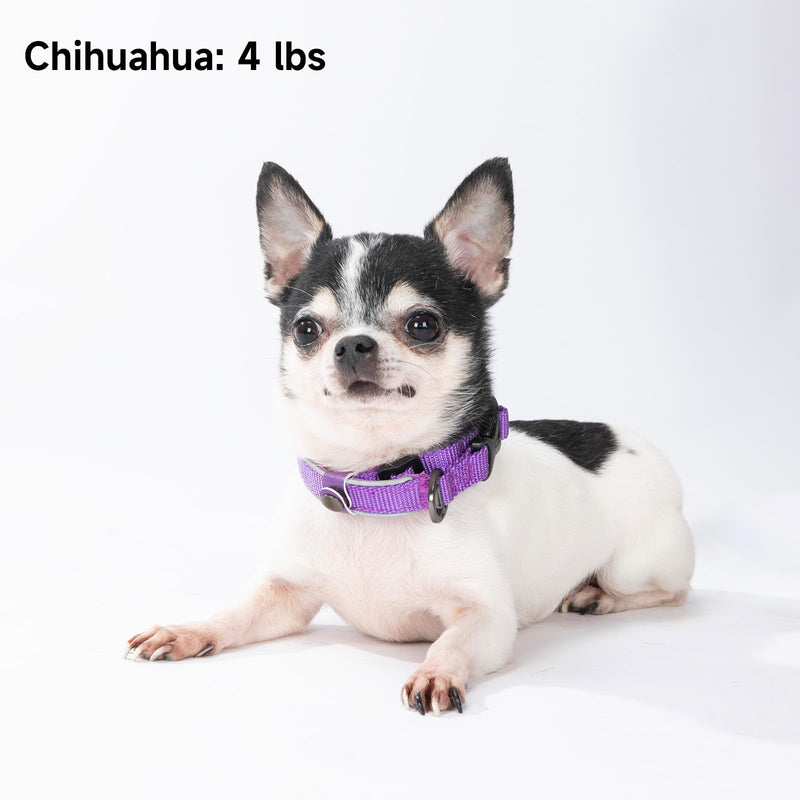 EXCELLENT ELITE SPANKER Classic Nylon Dog Collar Breathable Pet Collar with Buckle Adjustable for Small Dogs Cats Green Red Purple (Purple) Puppy Collar