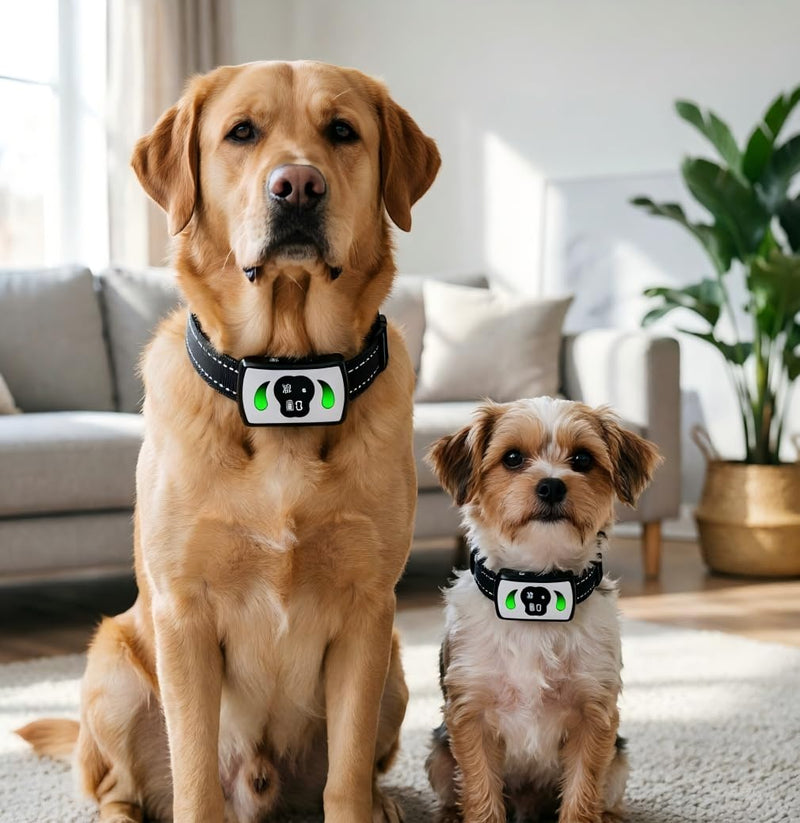 Dog Training Collar with 4 Training Modes - Dog Bark Collar with Mini Remote - Dog Shock Collar for Indoor & Outdoor, Shock Collar for Large Dog Medium Dog & Small Dog (10~120 lbs) White - PawsPlanet Australia