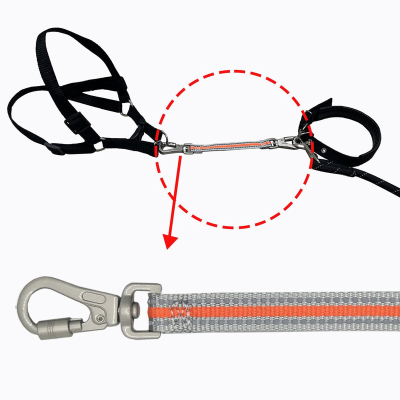 Heavy Duty Double Ended Collar Backup Clip for Dog Harnesses, Lockable Safety Clip for Prong Collar,Reflective Nylon Puppy Collar with Double Clasps for Walking, Training,ORG DKG0913-ORG