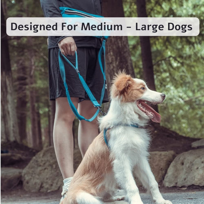 DOCO Heavy Duty Hands Free Dog Leash, Retractable Bungee for Running Walking Jogging, Training, Hiking │ Adjustable Waist Belt, Reflective Stitches, Dual Handle (Medium-Large Dogs, 20-100 lbs) Red Original - PawsPlanet Australia