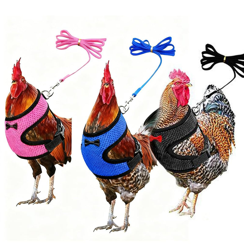 Chicken Harness and Leash Set Adjustable Mesh Breathable Duck Training Harness Pets Leashs for Goose Hen Rooster Parrots Dog Kitten, Blue M M( Chest 18.1-20.5") - PawsPlanet Australia