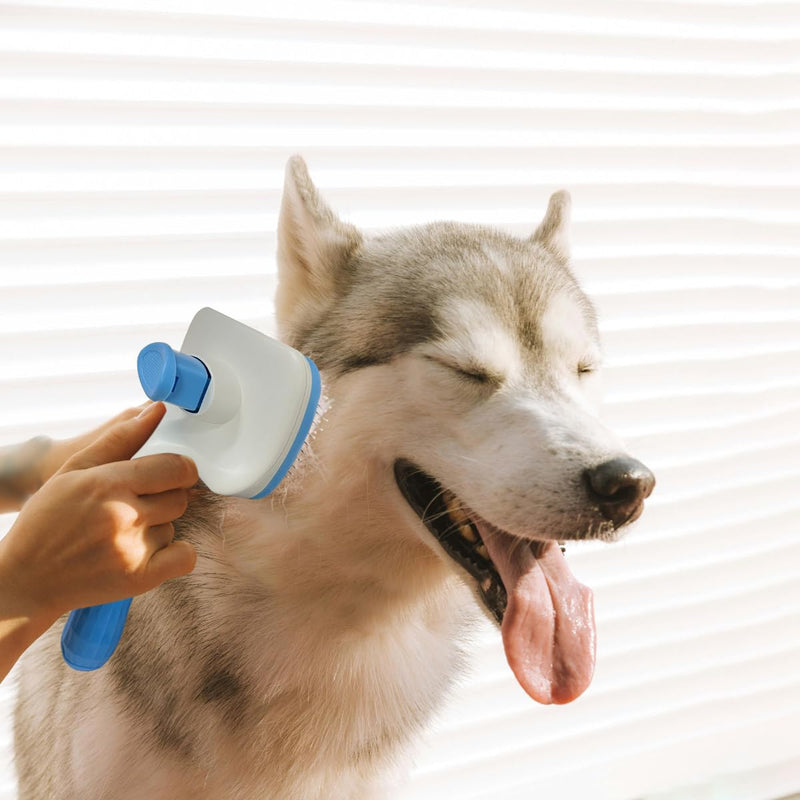 Pet Cleaning Deshedding Brush,Pet Hair Removal Brush for Shedding Massaging Grooming for Small Dogs,Cats,Rabbits(blue) - PawsPlanet Australia