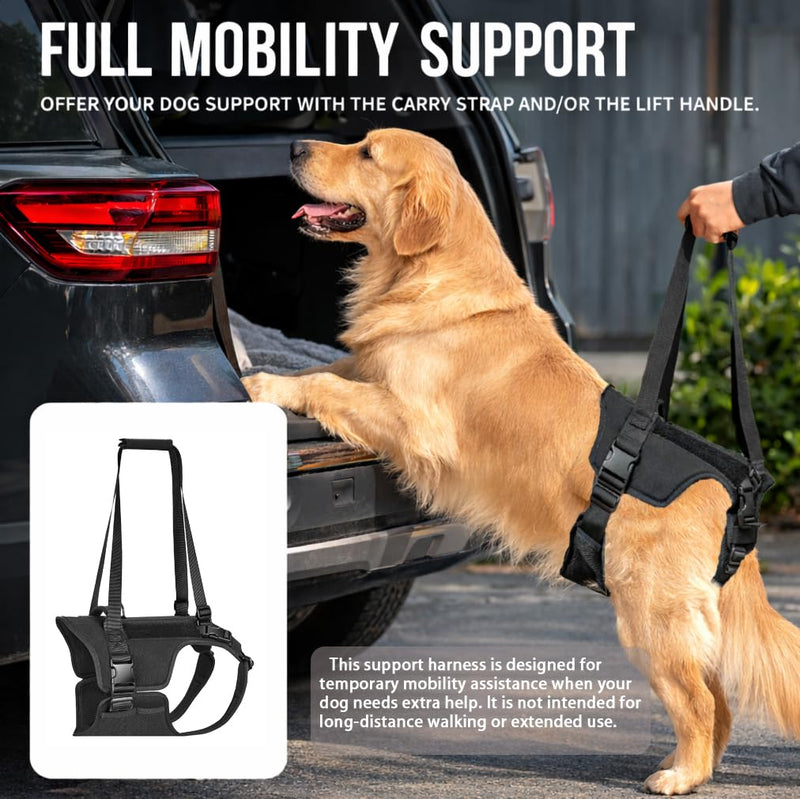 Dog Lift Harness for Large Dogs, Rear Leg Support Sling with Handle for Injury Recovery, Post-Surgery Rehab, Senior Dogs(M) M
