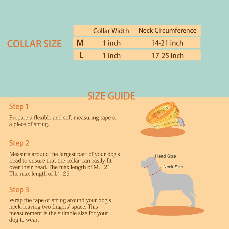 Martingale Collar for Dogs 1 inch Sturdy Durable Collars Medium and Large Breed for Walking Training Outdoor Daily Use Impression of Blooms M:14"-21" - PawsPlanet Australia