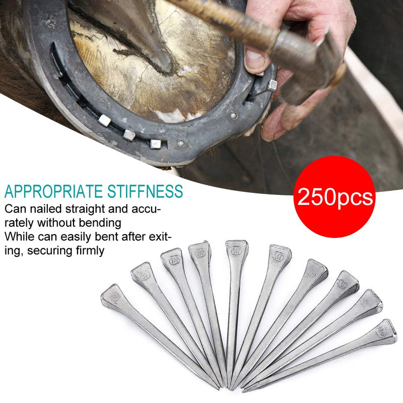 Horseshoe Nail, 250 Pcs E6 Horseshoe Nail Steel Hoof Peg Securing Firmly Horse Tool Accessory