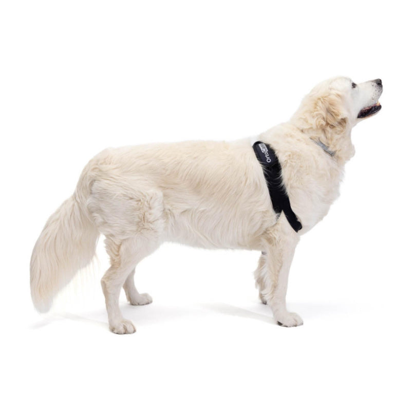 Ortocanis - Dog Elbow Protector - Right Leg Elbow Brace - Chronic Arthritis, Dysplasia, and Skin Lesions - Reduces Pain and Inflammation - Size: XS 7.5-11.5 cm Size XS