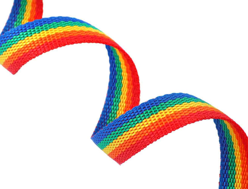 AMAGOOD 6 FT Puppy/ Dog Leash, Strong and Durable Traditional Style Leash with Easy to Use Collar Hook, Great for Small and Medium Dogs (3/4 in x 6 ft(Pack of 1), Rainbow) 3/4 in x 6 ft(Pack of 1) - PawsPlanet Australia