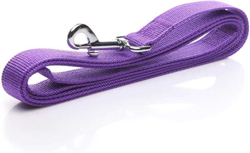 Nylon Dog Leash 4 Ft 5 Feet 6 Foot Long, Walking Training Dog Leashes for Medium Large Dogs, 1 Inch Wide (3/4" X 6 ft, Purple) 3/4" X 6 ft - PawsPlanet Australia