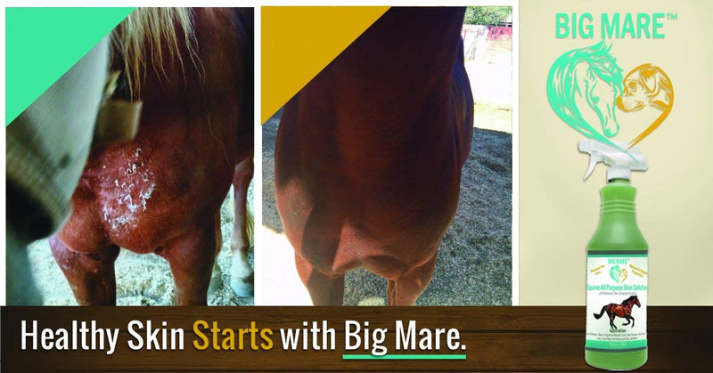 Big Mare All Purpose Horse Skin & Wound Care 32oz | First Aid: for Girth Itch, Insect & Fly Bites, Crud, Itchy Manes & Tails & Hair Loss | Vet Approved & Recommended - PawsPlanet Australia
