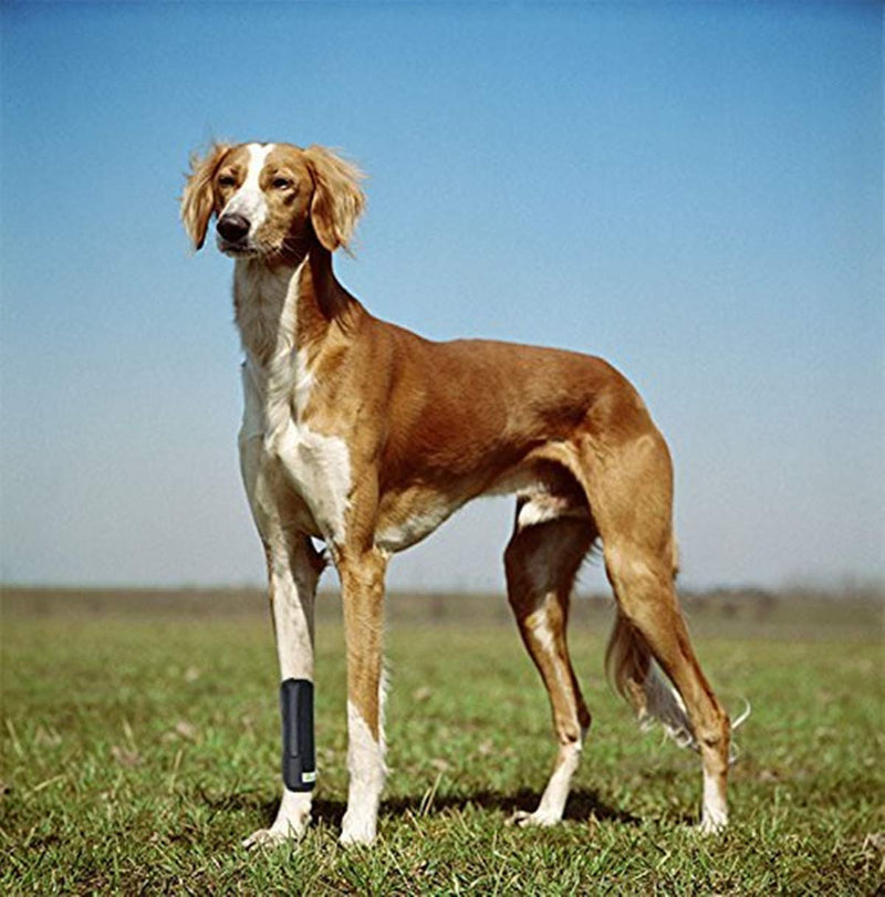 Dog Leg Brace One Pair Heals Hock Joint Wrap Sleeve for Front Legs(L/Front) L Black