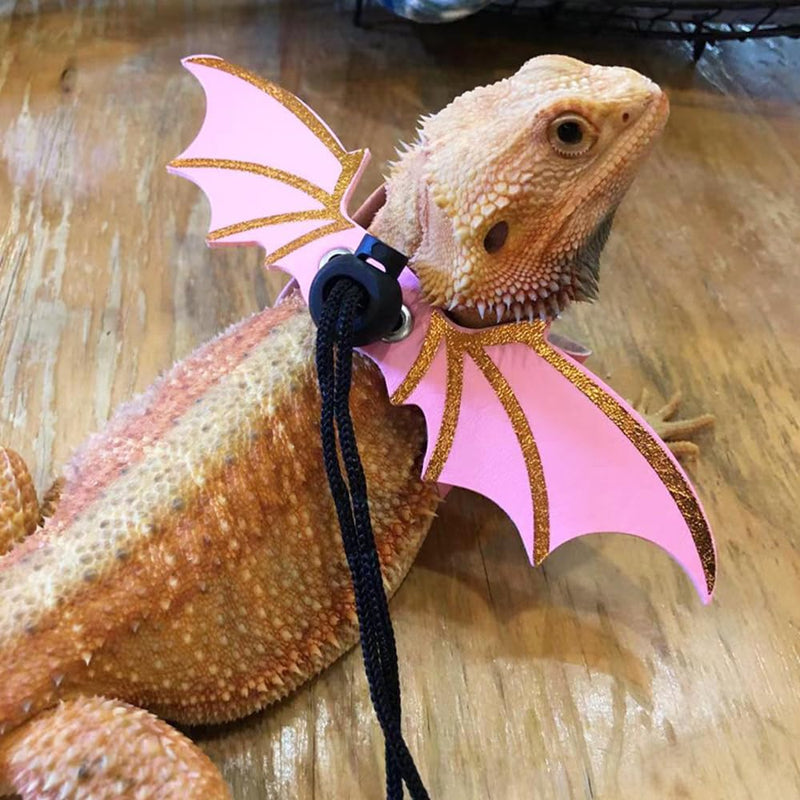 3 Size Pack Bearded Dragon Leashes and Harnesses, Bearded Dragon harness, Soft Leather Detachable Adjustable Reptile Lizard Wing Leash Pink - PawsPlanet Australia