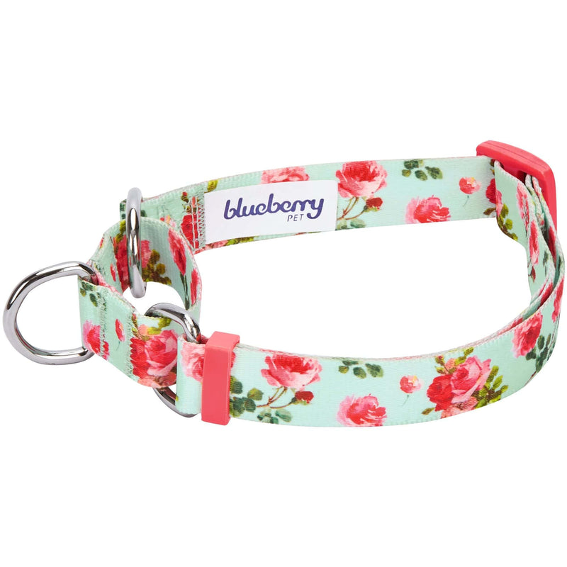 Blueberry Pet Spring Scent Inspired Rose Print Martingale Safety Training Dog Collar, Turquoise, Small, Heavy Duty Adjustable Collars for Dogs - PawsPlanet Australia