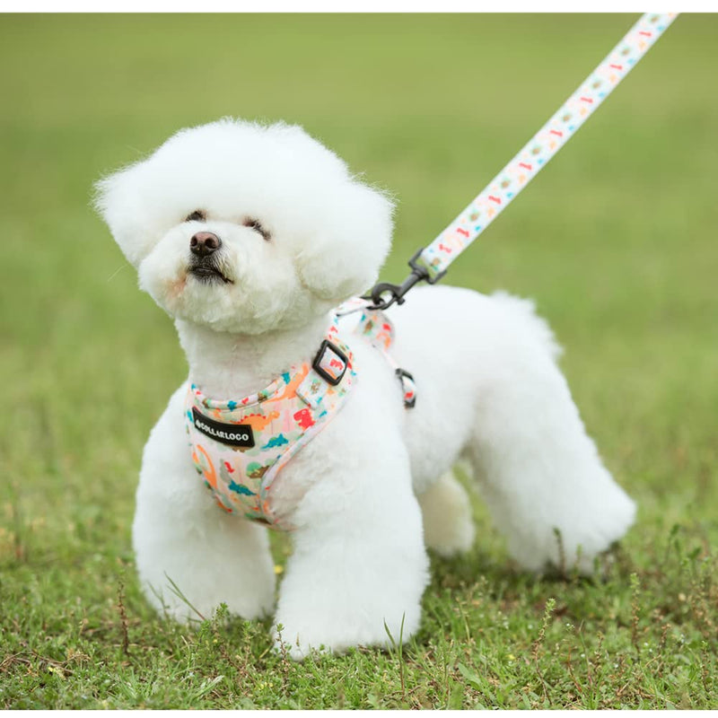 Dog Harness and Leash, Poop Bag Holder 3 Sets, Easy Walk No Pull Adjustable Puppy Cat Vest Harness with Soft Mesh Padded, Pet Supplies for Extra-Small/Small Medium Dogs Kitten S (Neck 10.6"-13"; Chest 14"-19.6") Dinosaur
