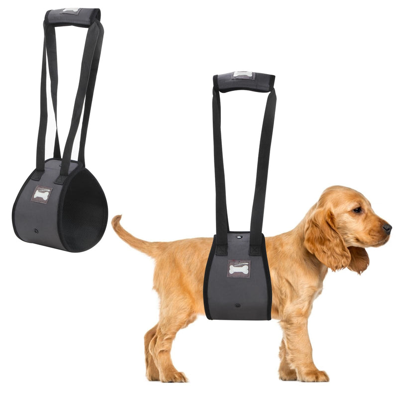 Pet Lift Harness Support Sling Aid Mobility with Handle to Lift Pets Front Rear Legs for Senior Dog Weak Legs Surgery Rehabilitation (Gray, S) Gray