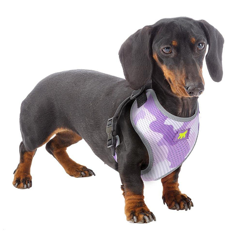 Ferplast Arnés Para Perros Nikita Fashion XXS, Transpirable, Acolchado Y Ajustable PURPLE - PawsPlanet Australia