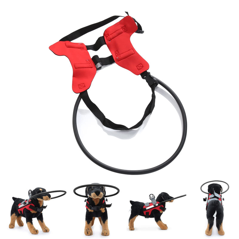 Blind Pet Halo Guide for Dogs, Adjustable Blind Dog Harness with Reflective Strips, Lightweight, Breathable, Machine Washable, for Visually Impaired Puppies (M) m