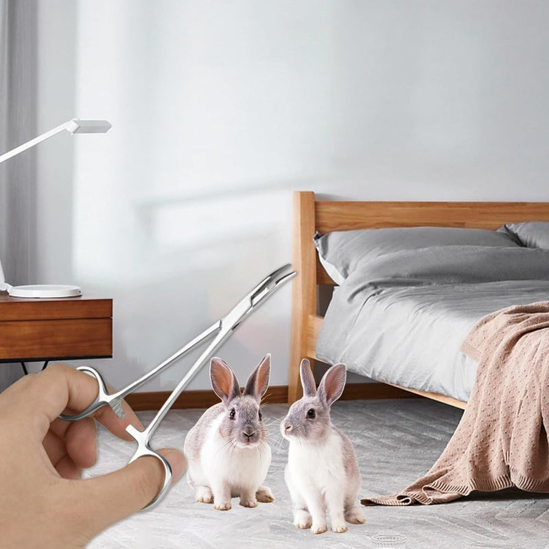 Hemostat Forceps, Stainless Steel Pet Dog Grooming Ear Cleaning Clamp Pets Cat Ears Hairs Tweezers with Curved Tip Antislip Locking Forceps Remover Tools Supplies Trimmer Accessories(Small) Small - PawsPlanet Australia