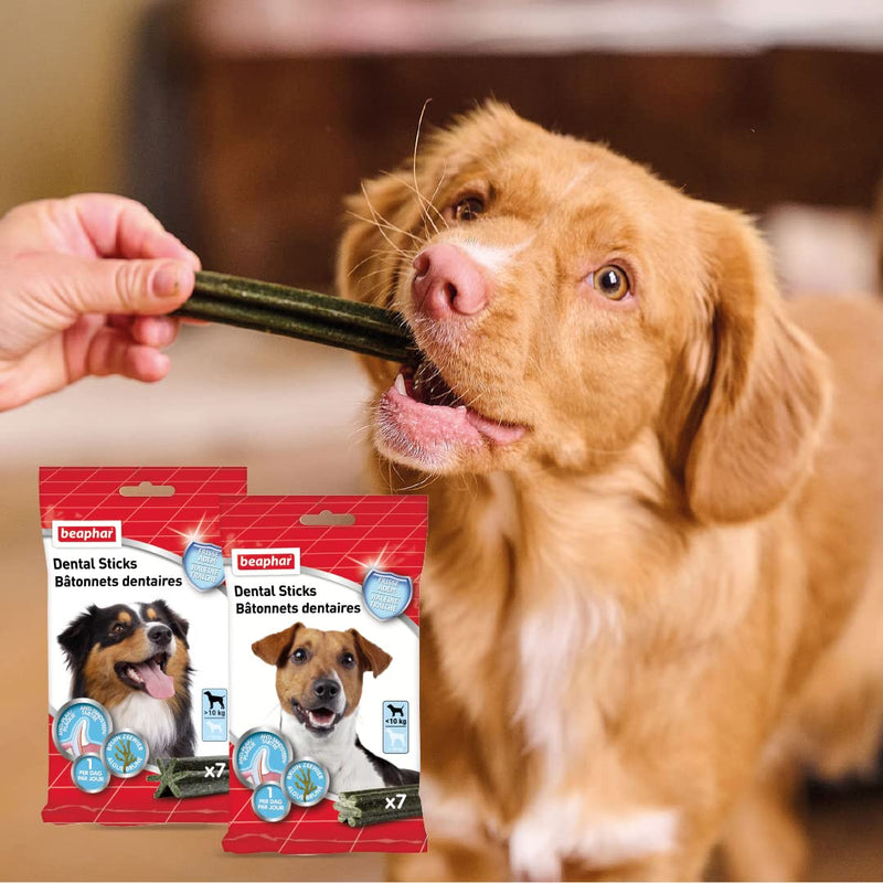 Beaphar Dental Sticks for Small Dogs 1 count (Pack of 1) - PawsPlanet Australia