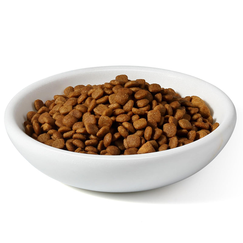 White Cat Bowl, Marble Food and Water Bowl for Cat and Small Dog, Heavyweight 1.5lb Non-Tip Pet Food Dish with Slip-Proof Pad, Premium Stone Feeder for Elegant Home Decor XS Namib Fantasy