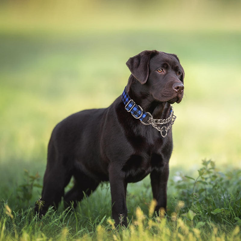 Choke Collar for Dogs,Martindale Dog Collar for Large Dogs,Choke Chain for Dogs,Training Escape Proof Heavy Duty Dog No Pull Dog Collar for Medium Large Male Dogs,Blue Plaid L Blue Plaid L(Neck 19-24") - PawsPlanet Australia