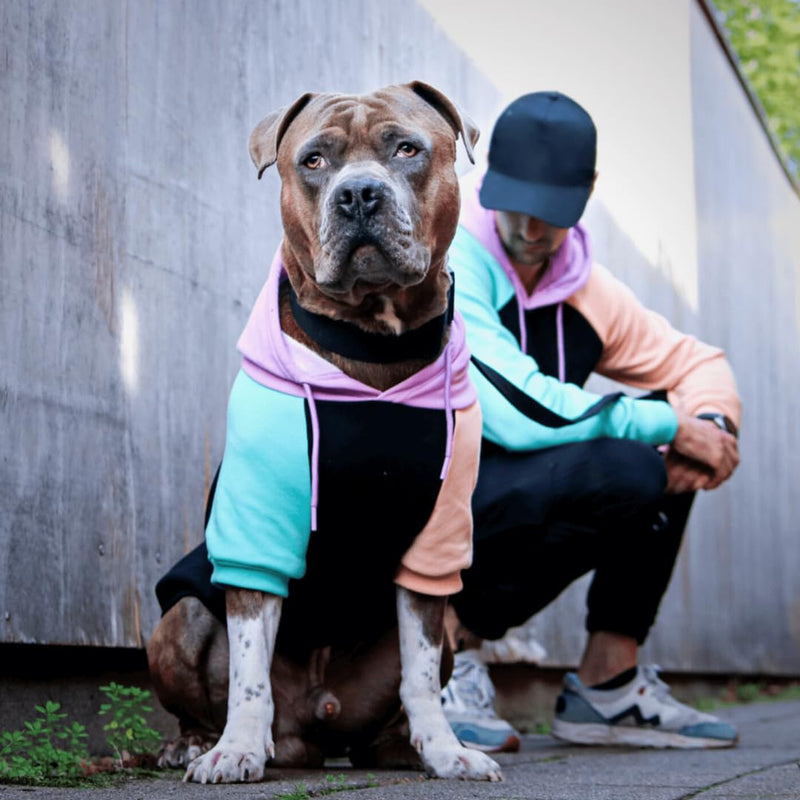 Spark Paws Dog Hoodie - Premium Quality, Buttery Soft, Superior Comfort and Fit, Calming Fleece Interior, Suitable for All Breeds - Cyber Punk - 3XL 3XL: 60-80lbs - PawsPlanet Australia